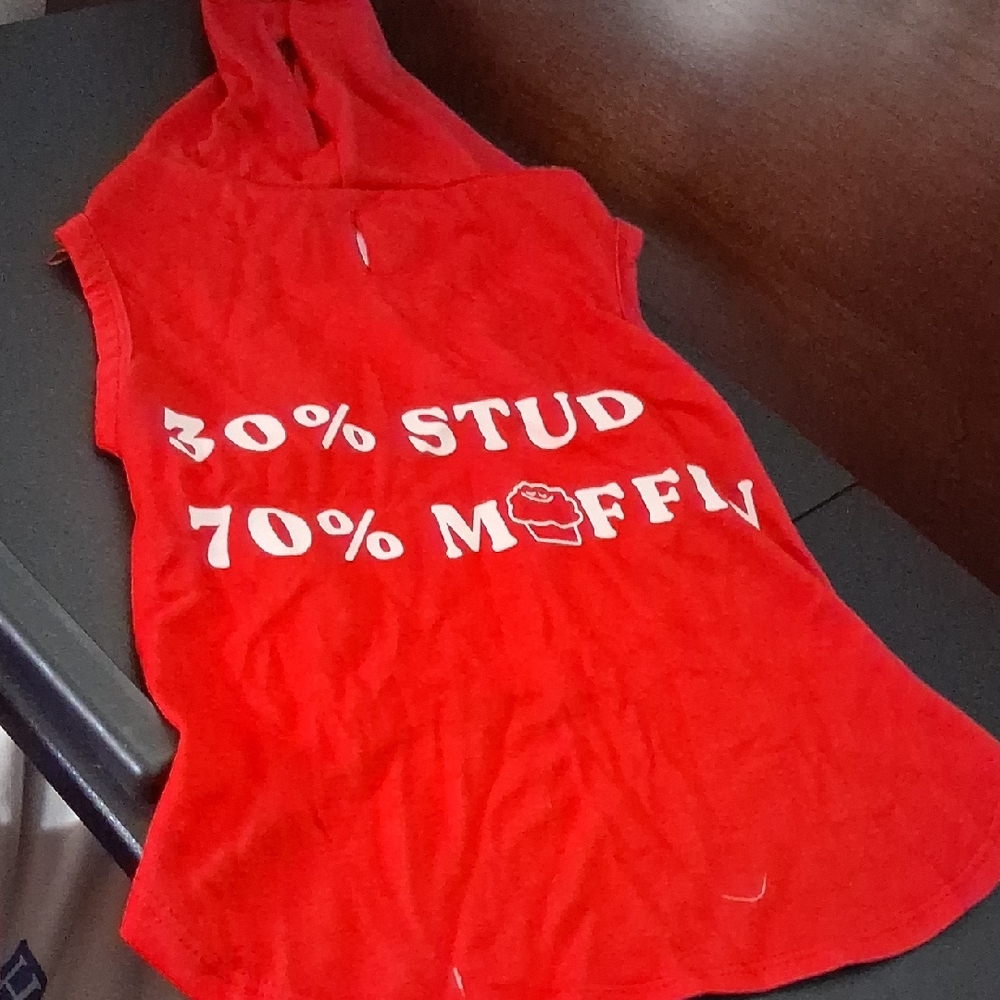 Red Sleeveless Hoodie